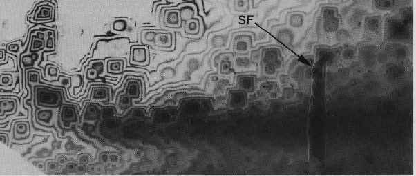 Plan view image showing dislocations and stackings faults on a silicon substrate. (Courtesy Lucent Technologies).