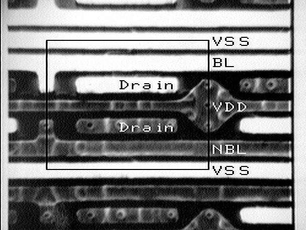 CCVC image showing the conductors of a depassivated integrated circuit. (Courtesy Sandia Labs).