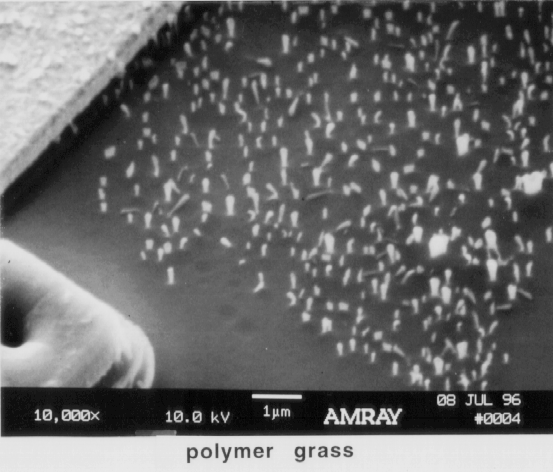 Photograph of Reactive Ion Etching Artifacts (polymer grass). Photo courtesy Bill Vanderlinde, Microelectronics Research Laboratory.