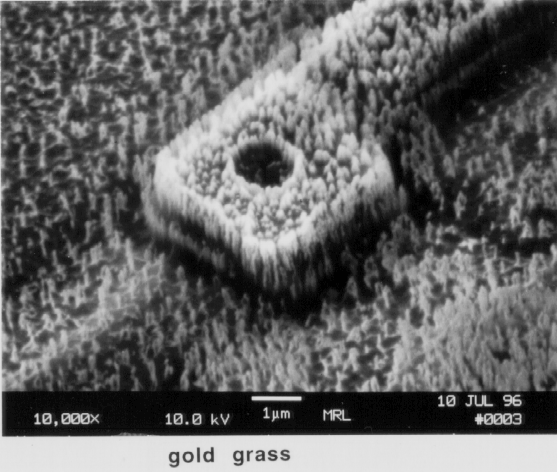Photograph of Reactive Ion Etching Artifacts (gold grass). Photo courtesy Bill Vanderlinde, Microelectronics Research Laboratory.