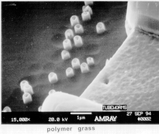 Photograph of Reactive Ion Etching Artifacts (polymer grass). Photo courtesy Bill Vanderlinde, Microelectronics Research Laboratory.