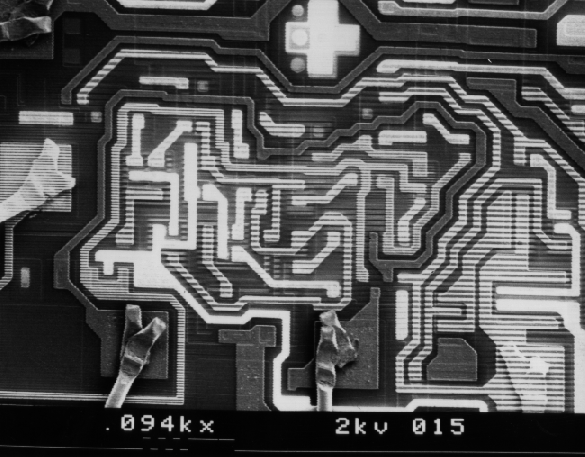 Voltage contrast image of the same logic gate in dynamic operation. (Courtesy DM Data).