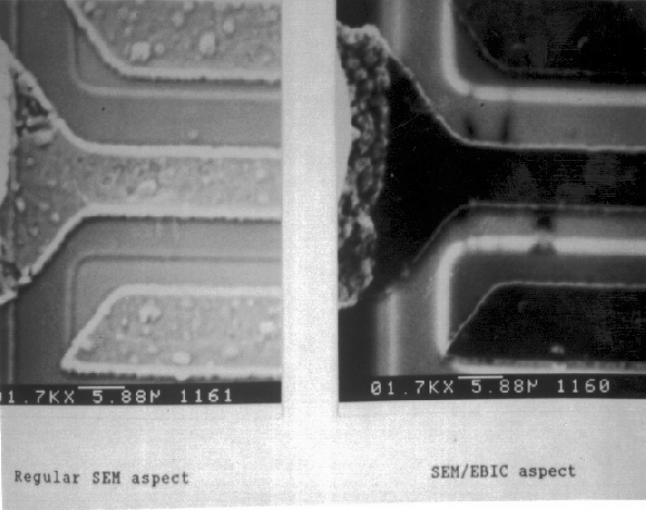 EBIC image showing location of ESD damage on a bipolar transistor on an IC. (photo coutresy DM Data).