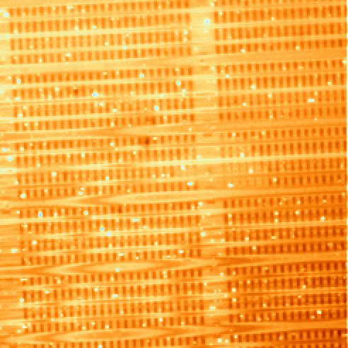 Background image (1000X) of the area shown in the previous FMI image. The metal 1 patterning defect is seen vaguely in the center of the photograph. (Photo courtesy Sandia Labs.).