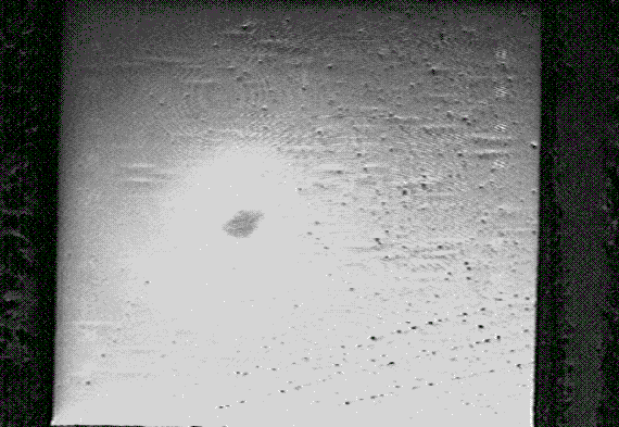 Reflected IR image of the microcontroller with open contacts. (Courtesy Sandia Labs).