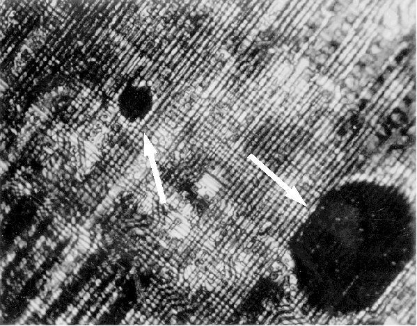 Example of a hot spot on an IC die detected with liquid crystal. (Courtesy Analytical Solutions).