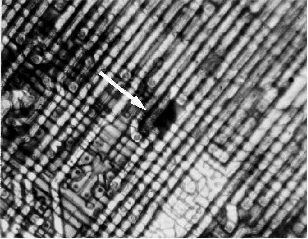 Example of a thin oxide defect on an IC detected with liquid crystal. (Courtesy Analytical Solutions).