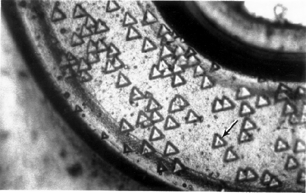 Photograph of an epitaxial layer stacking fault at high magnification (750X). (Courtesy DM Data)