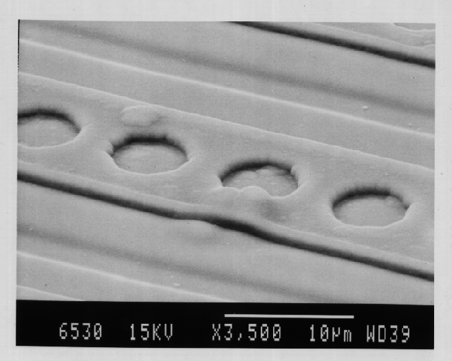 SEM image showing Fig. 12 at higher magnification. (Photo courtesy Analytical Solutions).