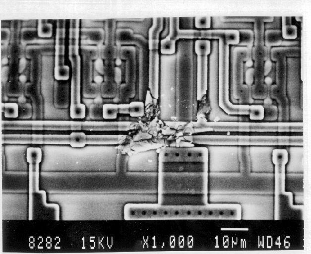 SEM image showing damage caused by a blunt mechanical object. (Photo courtesy Analytical Solutions).