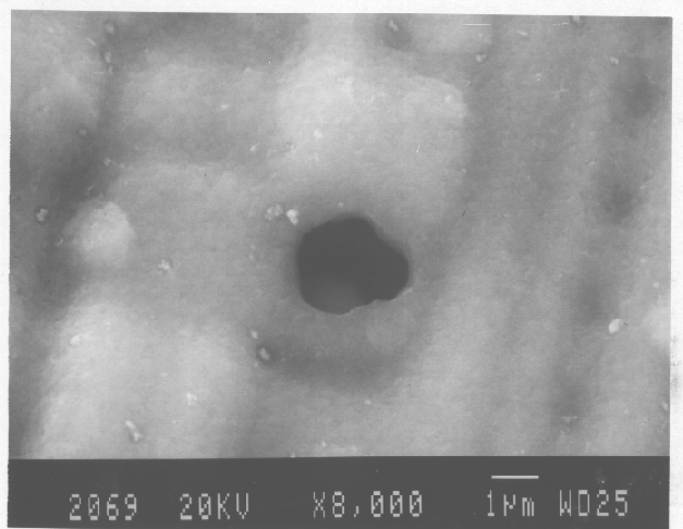 SEM image showing a pin hole in the top glass layer. (Photo courtesy Analytical Solutions).