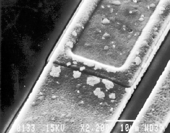 SEM image showing copper leaching out on alumimun metal line as a result of moisture. (Photo courtesy Analytical Solutions).