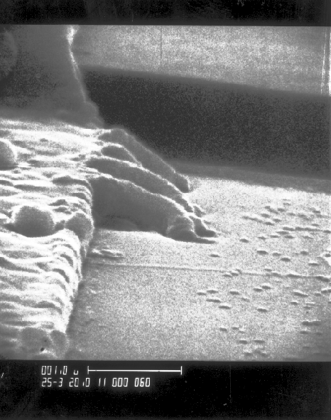 SEM image showing gate oxide short at edge of poly line. (Photo courtesy Analytical Solutions).