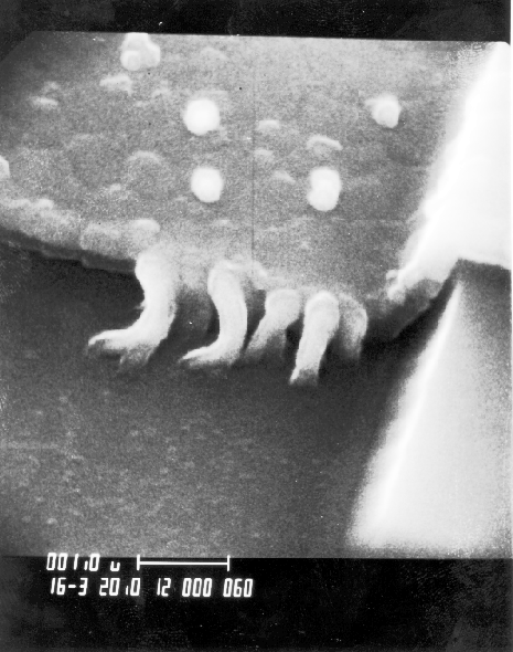 SEM image showing gate oxide short at edge of poly line - different angle. (Photo courtesy Analytical Solutions).