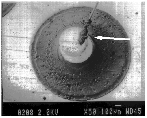 SEM image of contamination on a bond wire. (Courtesy DM Data).