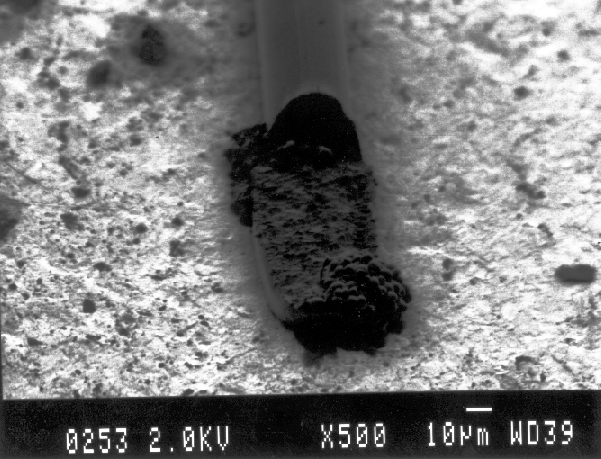 SEM image of bond wire that is not making connection to the bond pad as evidenced by bond wire charging positively, blurring the image. (Courtesy Analytical Solutions).
