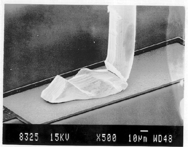 Figure of bond wire sheared off at heel as a result of improper operation of the wire bond tool. (Courtesy DM Data).