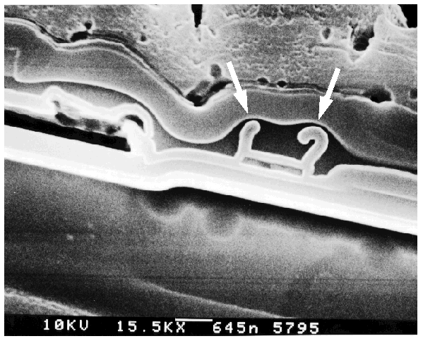 SEM image showing oxide whiskers due to incorrect processing and composition. (Courtesy Analytical Solutions).