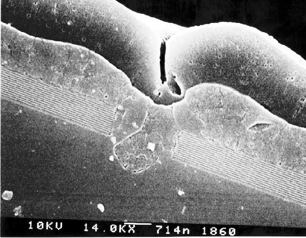 SEM image showing breach in the field oxide, resulting in a metal to silicon short. (Courtesy Analytical Solutions).