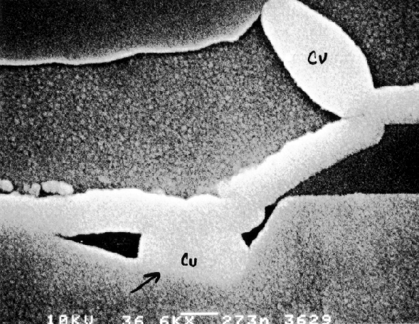 SEM image showing excess copper in metallization system causing short. (Courtesy Analytical Solutions).