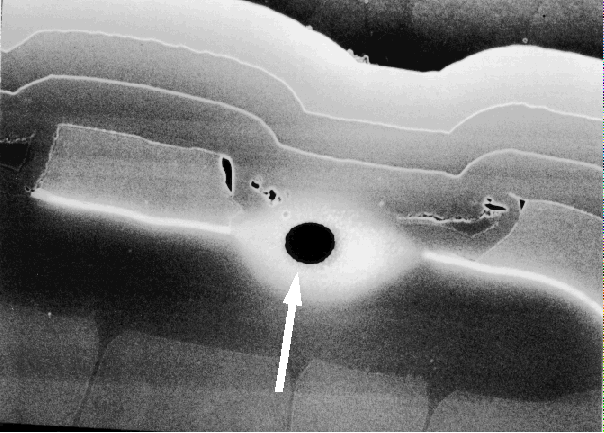 SEM image showing blown fusible link on a read only memory. (Courtesy Analytical Solutions).