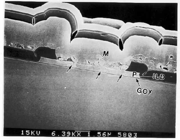 SEM image showing aluminum inclusions in a polysilicon gate resulting in a shorted transistor. (Courtesy Analytical Solutions).