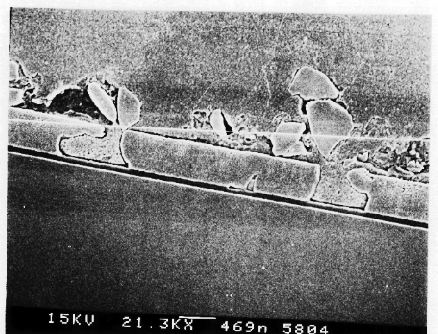 Higher magnification image of aluminum inclusions into the polysilicon gate. (Courtesy Analytical Solutions).