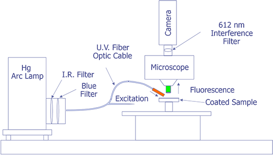 Implementation of FMI Using Hg Arc Lamp and Oblique Illumination.