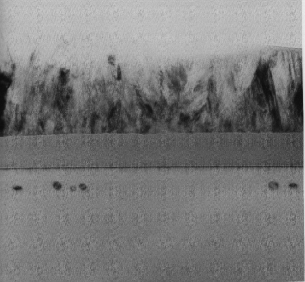 TEM cross section image showing a series of loops at the same depth in the silicon produced by ion implantation of source and drain regions of a transistor. (Courtesy Lucent Technologies).