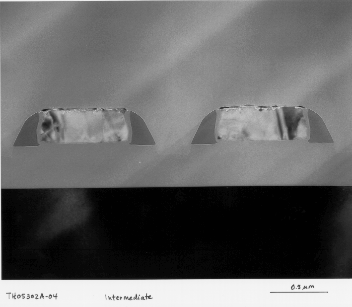 Cross-sectional view of salicide formation on polysilicon lines. Note insufficient salicide formation on the polysilicon lines.