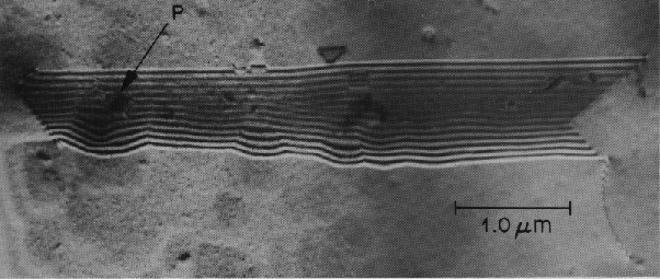 Plan view image showing both a stacking fault and a particle in the silicon substrate. These defects were associated with a light emitting defect in a p/n junction. The sample was prepared by thinning from the back side of the device. (Courtesy Lucent Technologies).