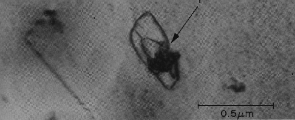 Higher magnification image of the precipitate particle and the dislocations around it. (Courtesy Lucent Technologies).