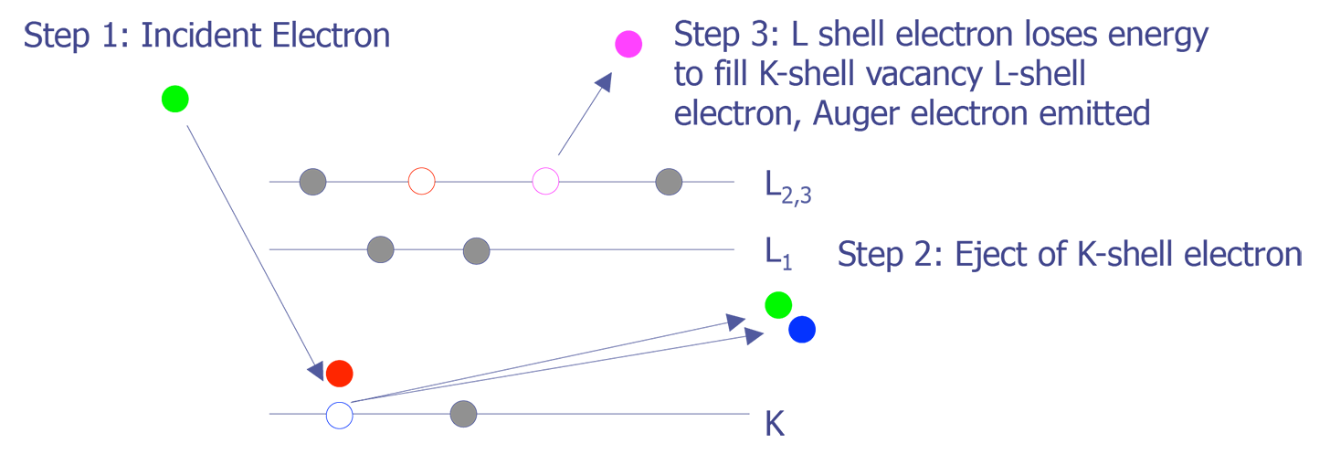 Physics behind the Auger electron process (after Harris).