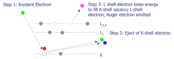 Physics behind the Auger electron process (after Harris).