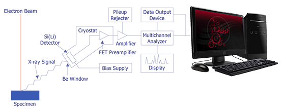 Schematic Representation of an energy-dispersive spectrometer (after Goldstein et. al.).