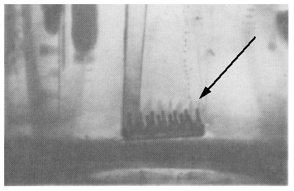 This photo shows an example of an IC that is failing the gross leak test. (Photo courtesy Sandia National Labs)