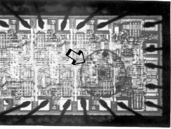 Photograph of die contamination. (Photo courtesy DM Data).