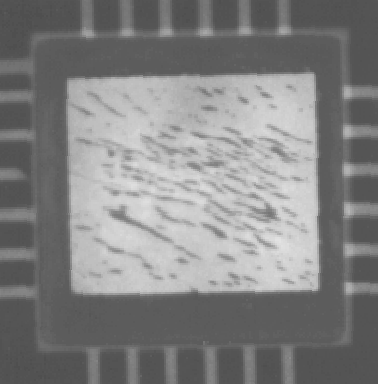 X-ray image showing an enlargement of a portion of a package cavity, showing directional voiding occurring in a silicon-gold eutectic die attach process. This radiograph was produced on fine grained Xray film and reproduced by backlighting and photographing the negative. (Courtesy Sandia Labs).